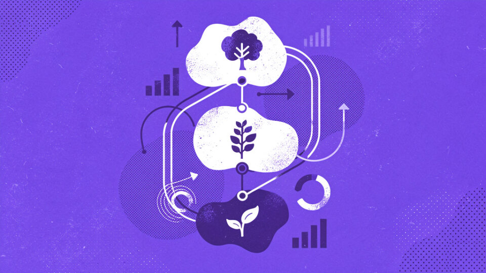 Model dojrzałości marki: na jakim etapie jest Twoja firma