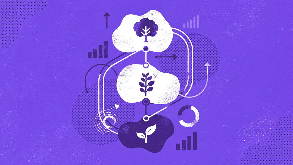 Model dojrzałości marki: na jakim etapie jest Twoja firma